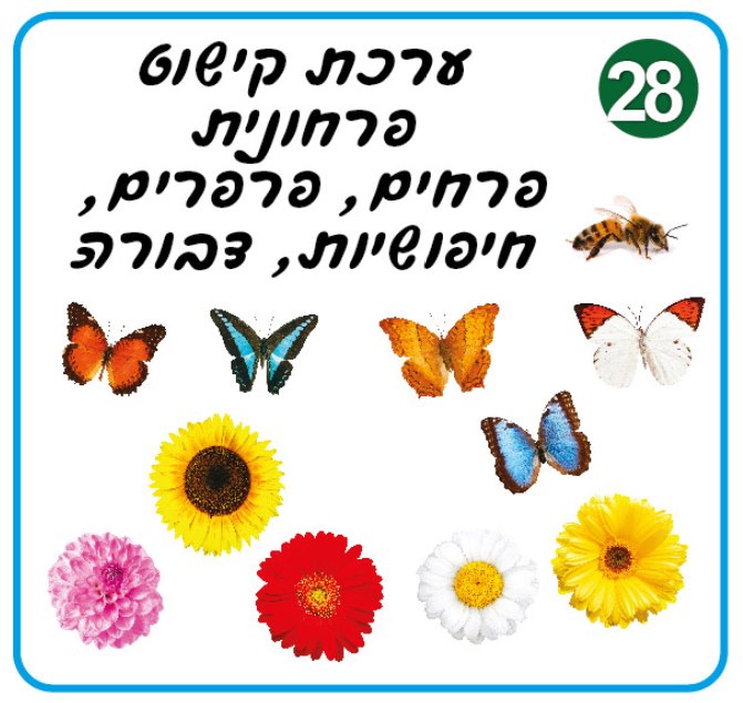 ערכות יצירה וקישוט | סמלי אביב