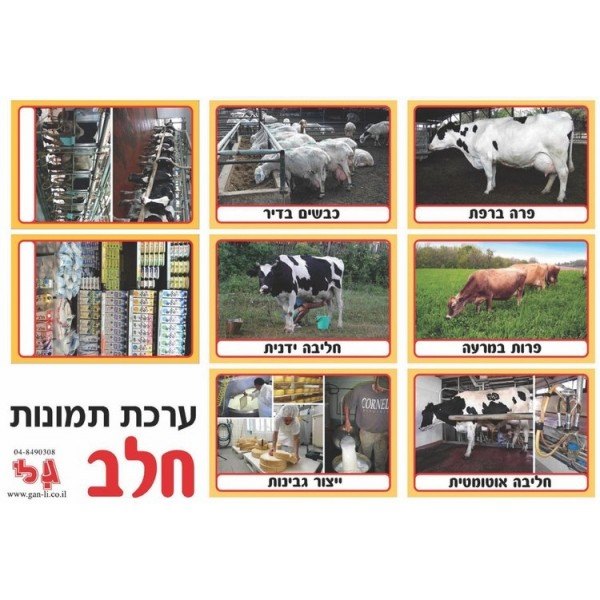 ערכת תמונות חלב