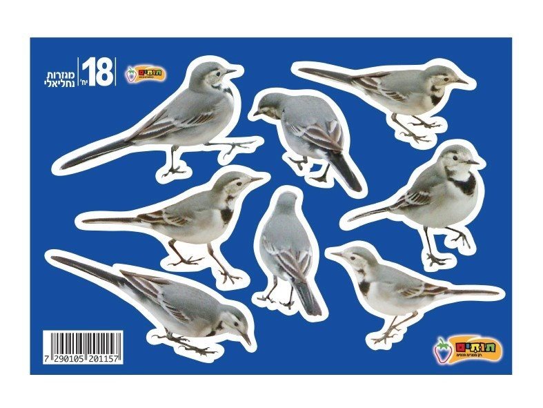 מגזרות נחליאלי מכיל : 18 יח'