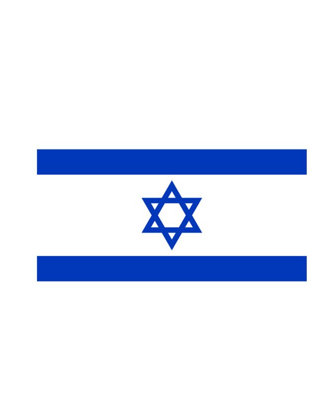 דגל לאום משי 60X80 ס"מ דגל ישראל