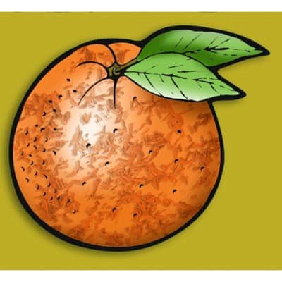 יצירה תפוז עם סול גרוס | 36 יח'