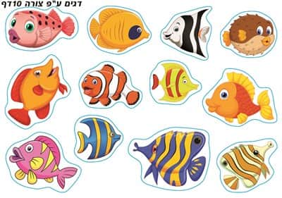 דגים לפי צורה