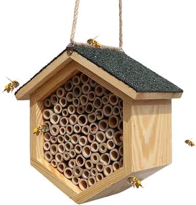 כוורת עץ במבוק - בית גידול לדבורים וחרקים ECO-FRIENDLY