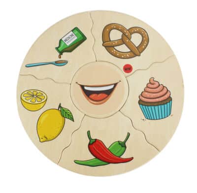 משחק פאזל עץ חמשת החושים beleduc