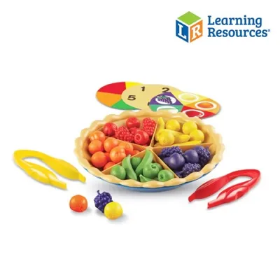 משחק מיון וספירה מיומנות מוטורית עדינה Learning Resources