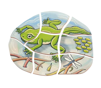 משחק פאזל שכבות צפרדע מעץ beleduc