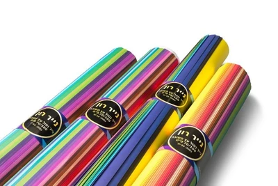 נייר חן ( רון ) 70/100 (25 ) מעורב צבע