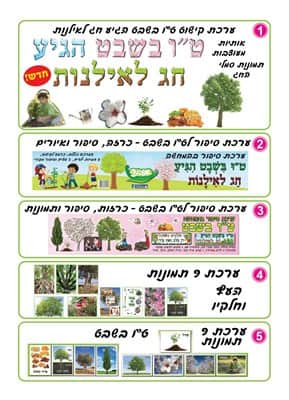 קטלוג טו בשבט 2019-02