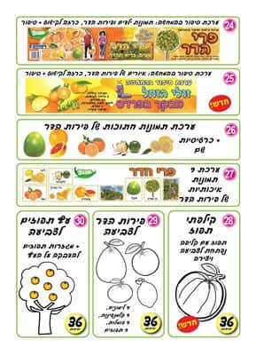 קטלוג טו בשבט 2019-05